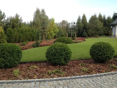 Projektowanie ogrodów Płock Grębosz Agnieszka